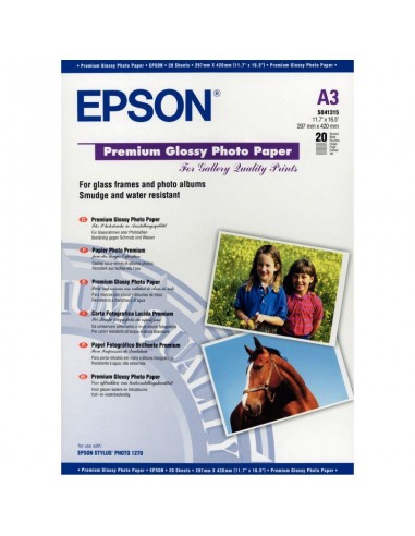 PQ 20F EPSON A3 PH PREMGLA255G livraison et retour toujours gratuits