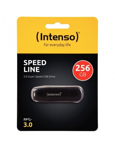 Clé USB 3.2 Intenso Speed Line 256 Go meilleur choix